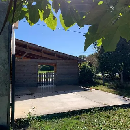 Grande Maison Atypique Avec Piscine * Salles (Gironde)